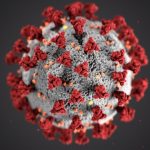 cdc-w9KEokhajKw-unsplash