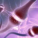Neuron cells sending electrical chemical signals. 3d illustration